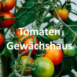 TomatenGewächshaus kaufen